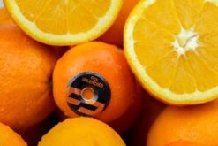 Unleazhed Unloose Al01 Ahead Cap - Orange -ROCKSHOX Sales unleazhed al01 orange c 1020717