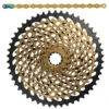 SRAM XX1 Eagle Wear And Tear -Set With Chain And XG-1299 Cassette - 50 Teeth - Gold -ROCKSHOX Sales xx1 gold 50 851242